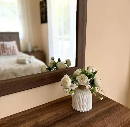 Nissi 7 Big Veranda And Free Wifi Apartamento *